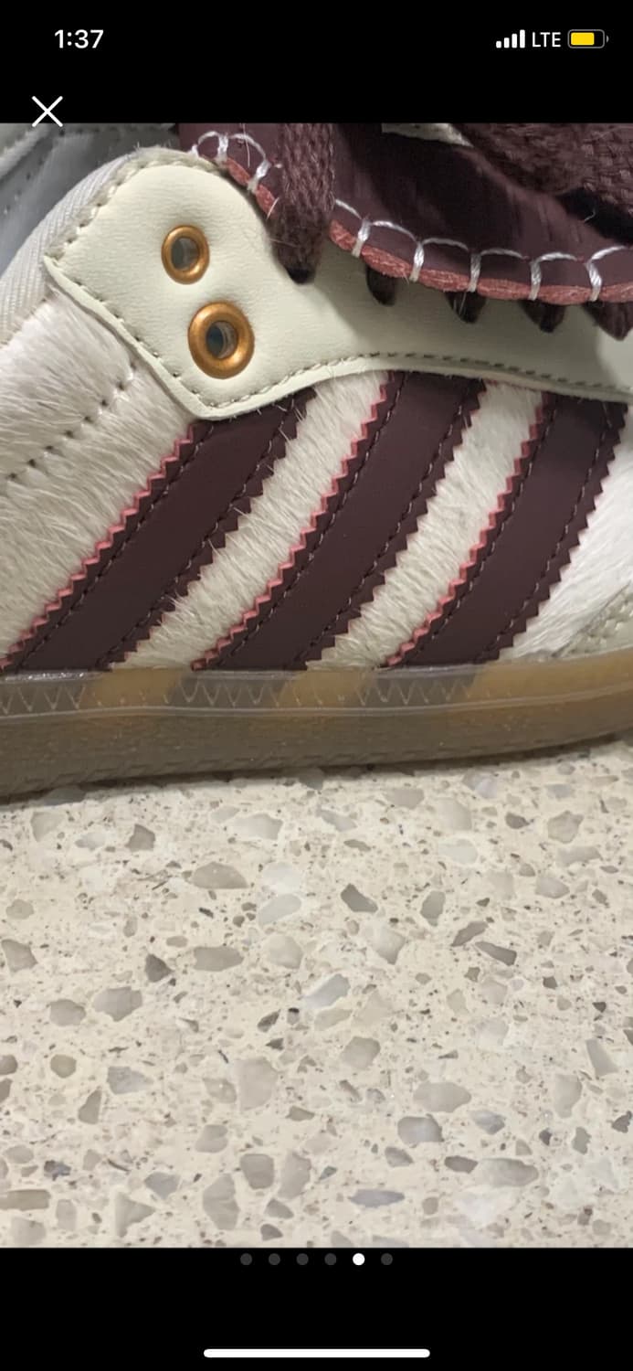 아디다스 웨일즈보너 240 상품이미지5