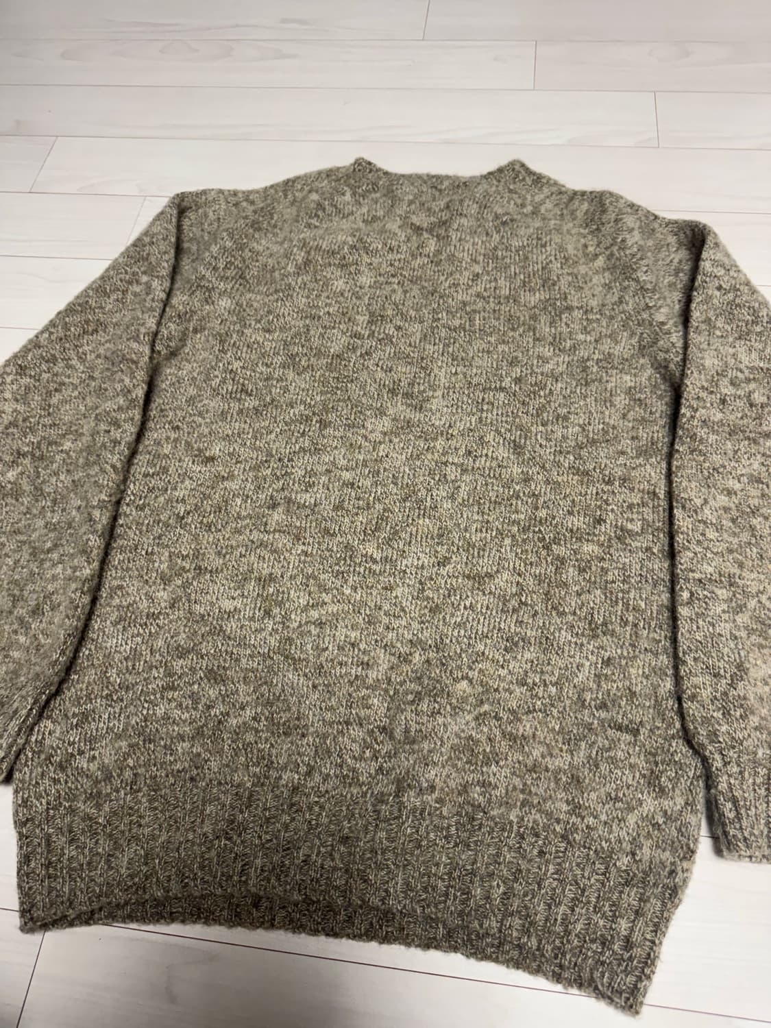 [L] 할리오브스코틀랜드 할리 쉐기독 머쉬룸 상품이미지3