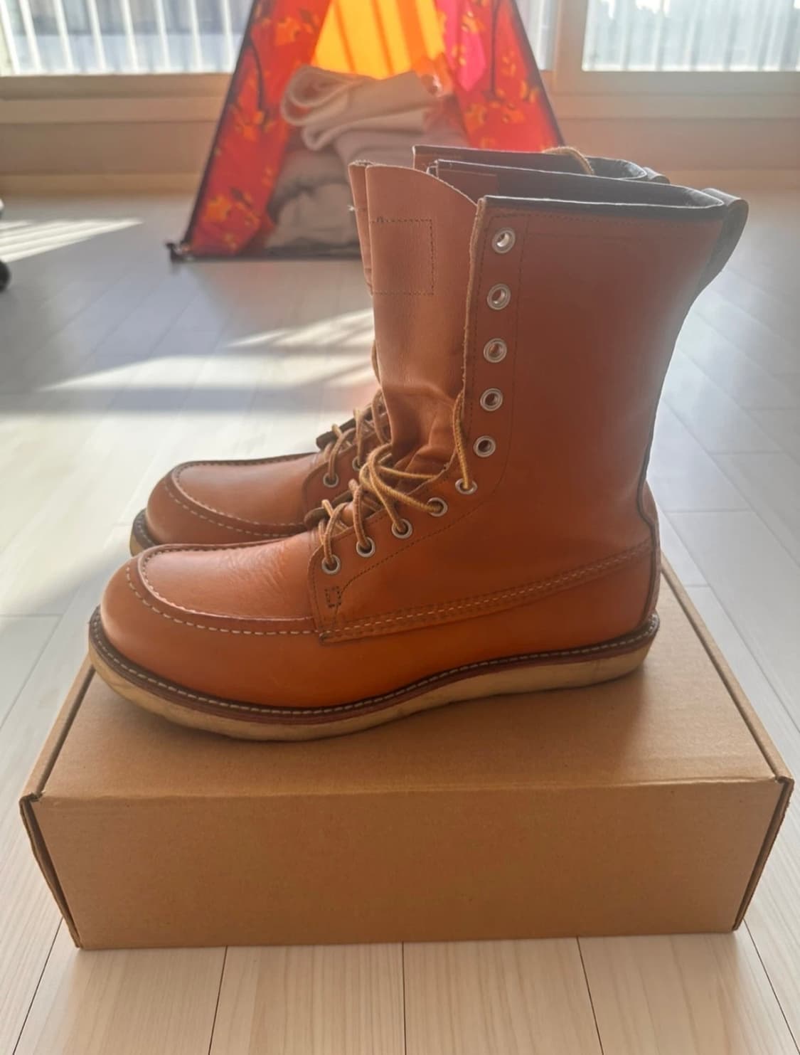 레드윙 9877 아이리쉬세터 275mm  상품이미지4