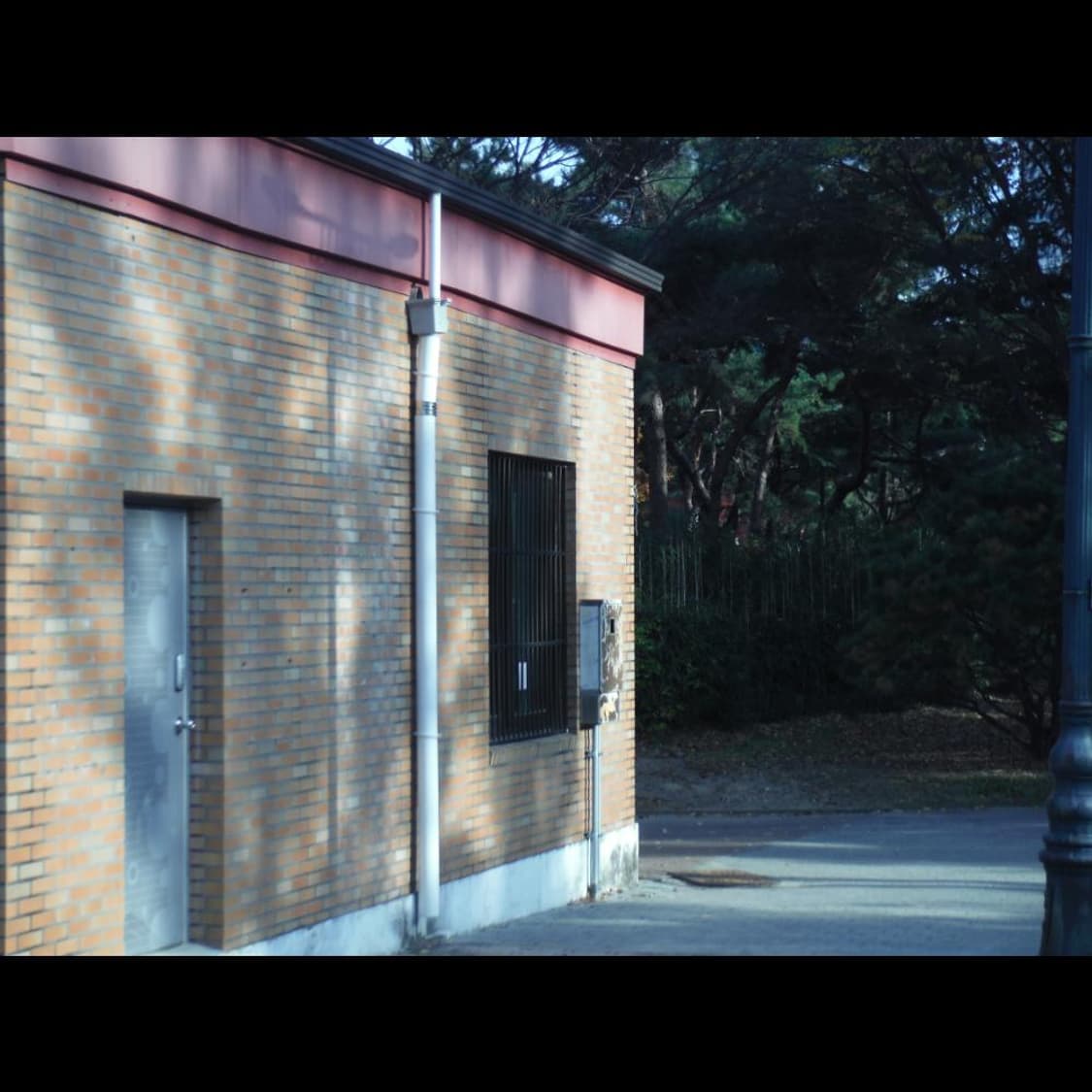 후지필름 후지 XP70  케이스 선셋 오렌지  빈티지 디카 디지털카메라 상품이미지6