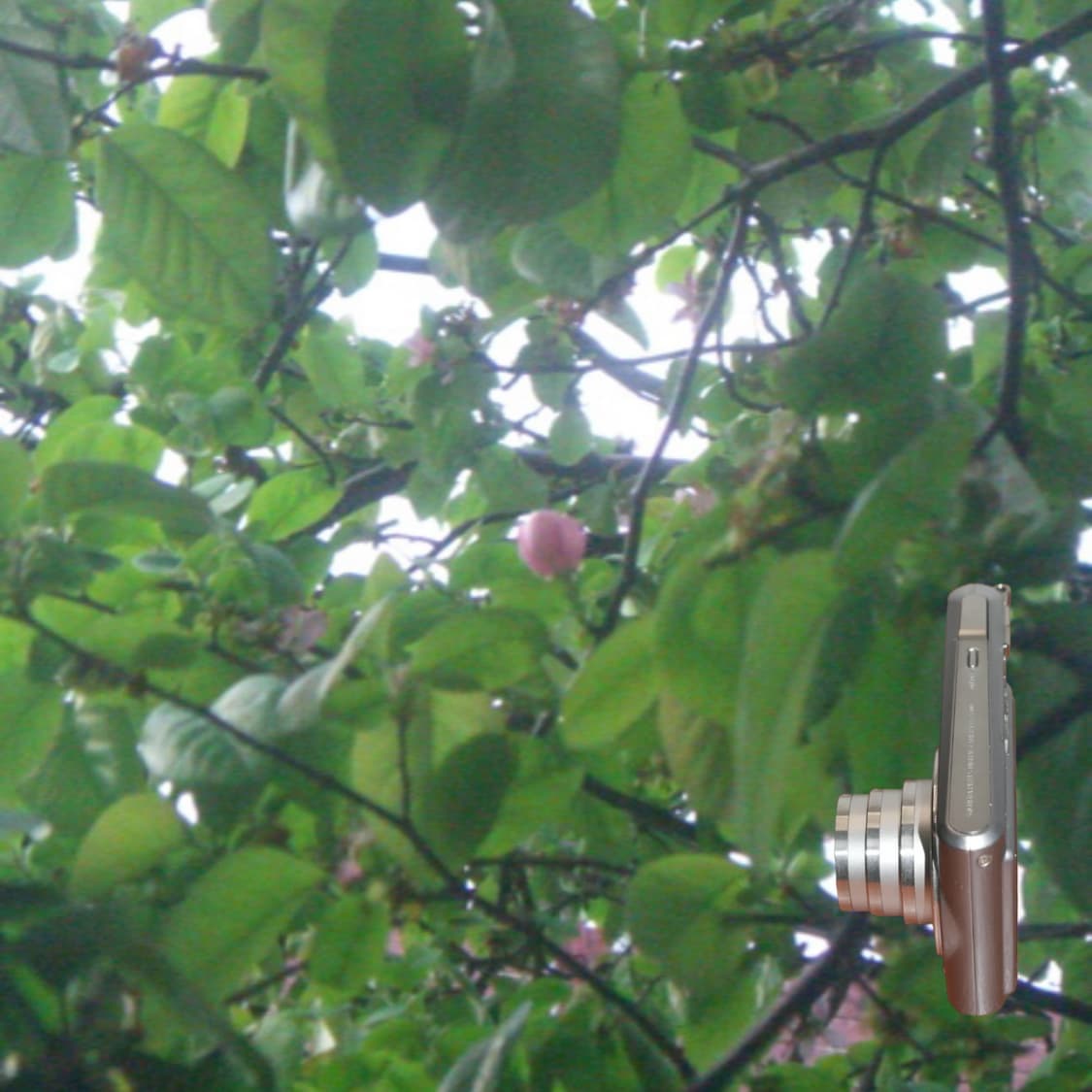 EX-S500 상품이미지8