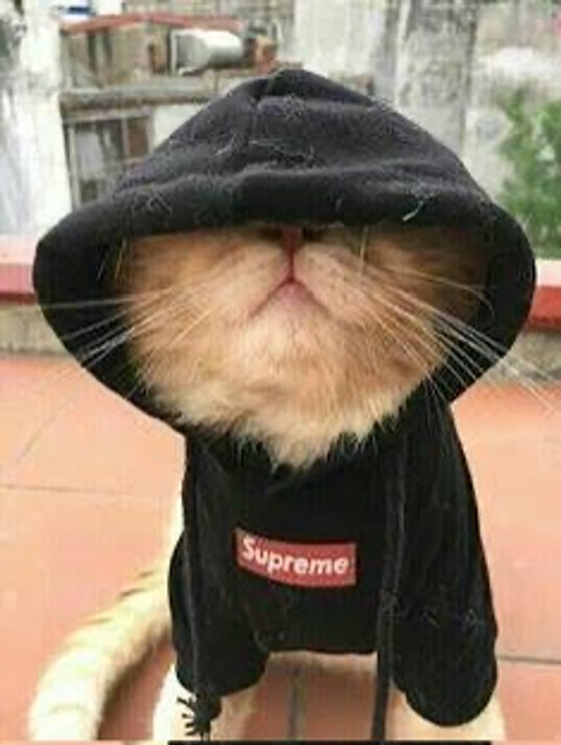 일본 오사카 대리구매대행 상품이미지1