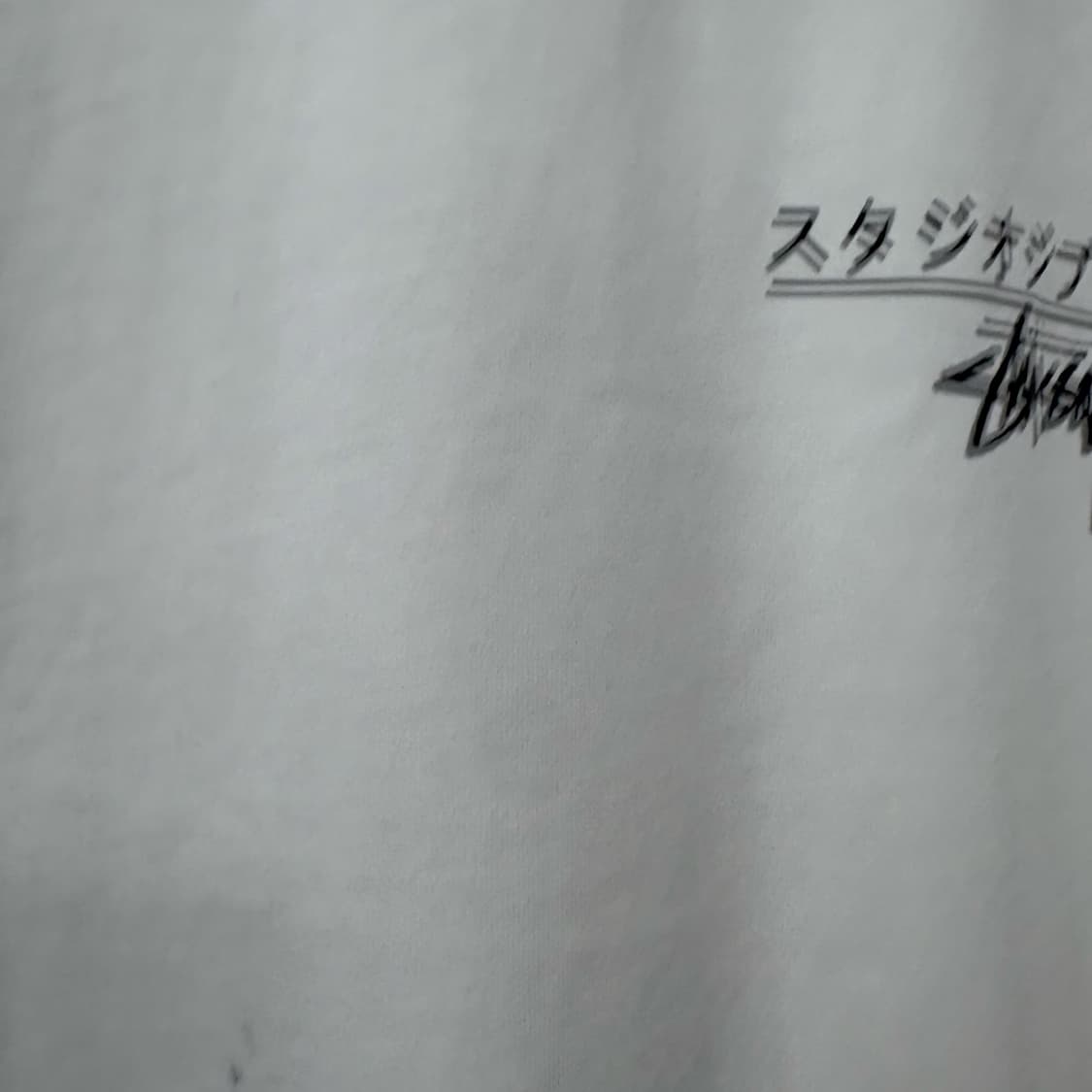 스투시 이웃집토토로 리프린팅 반팔티 상품이미지3