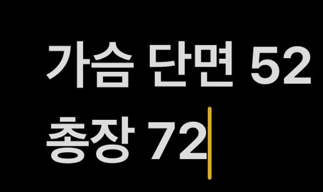 [정품/L] 나이키 에어로레이어 런닝 베스트 블랙 b14 상품이미지7