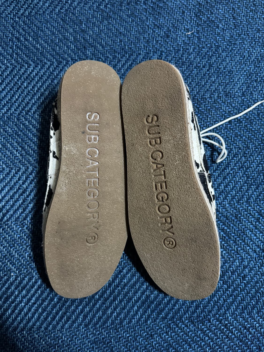 서브카테고리 f161 dalmatian 280 상품이미지3