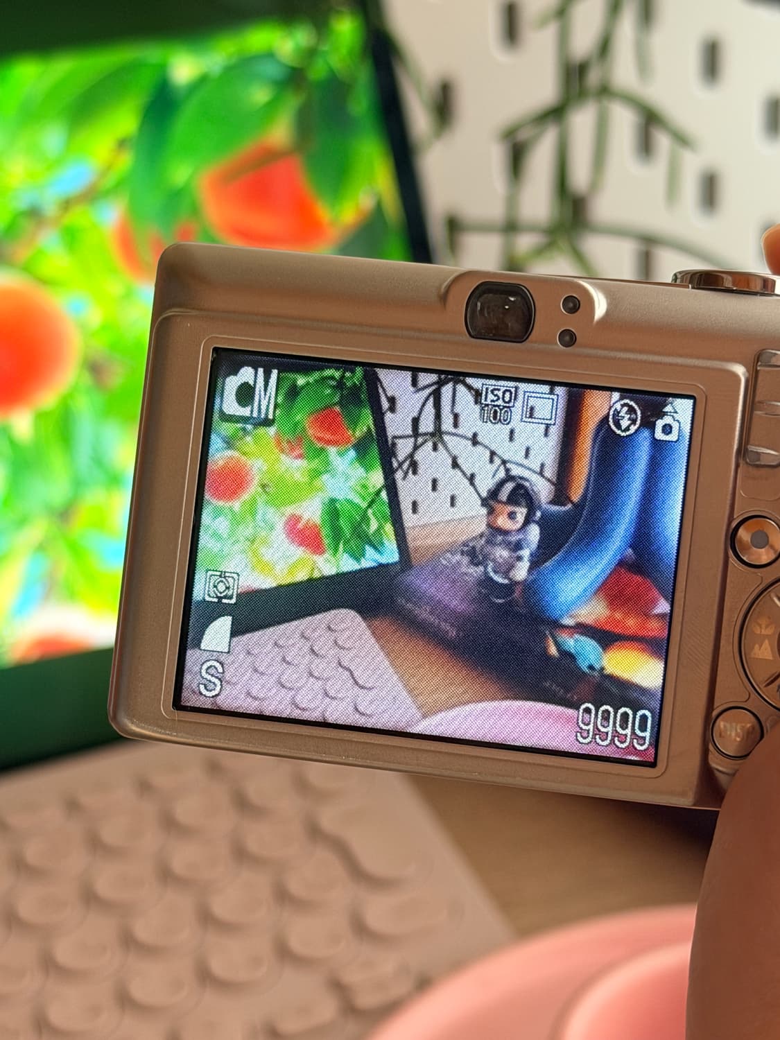 캐논 IXY60 익시60 /ixus55 익서스55 빈티지디카 상품이미지9