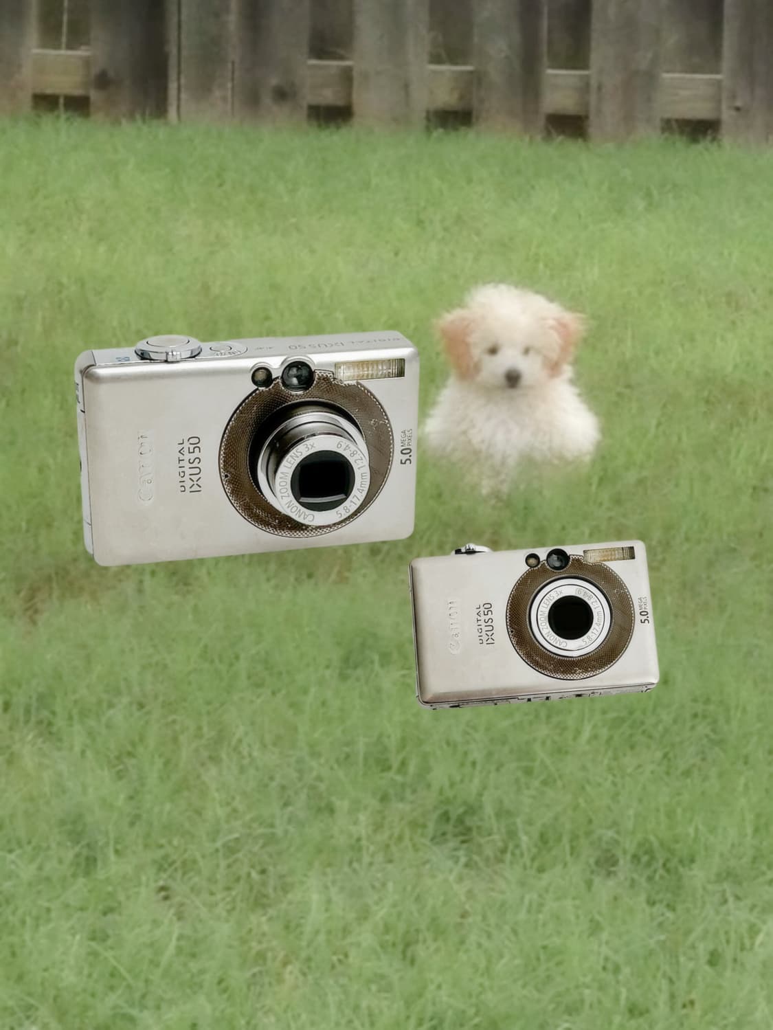 인기!) 캐논 익서스 50 익시55 빈티지 디카 상품이미지1