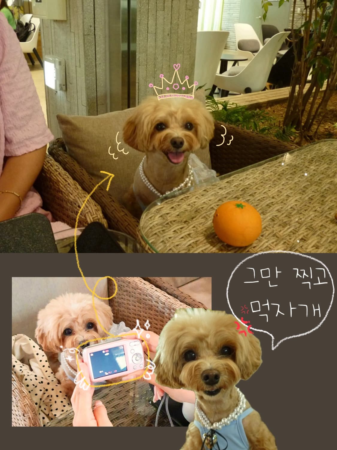 작례있음💖파나소닉 루믹스 핑크 빈티지 디카 ✨LUMIX DMC-s1 상품이미지3