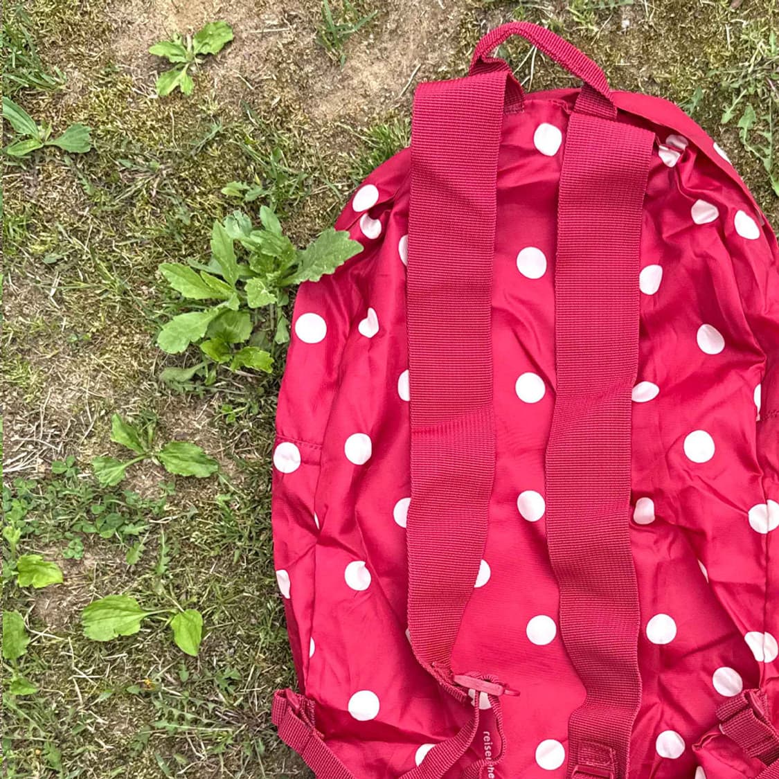 체리 도트 피크닉 백팩 상품이미지8