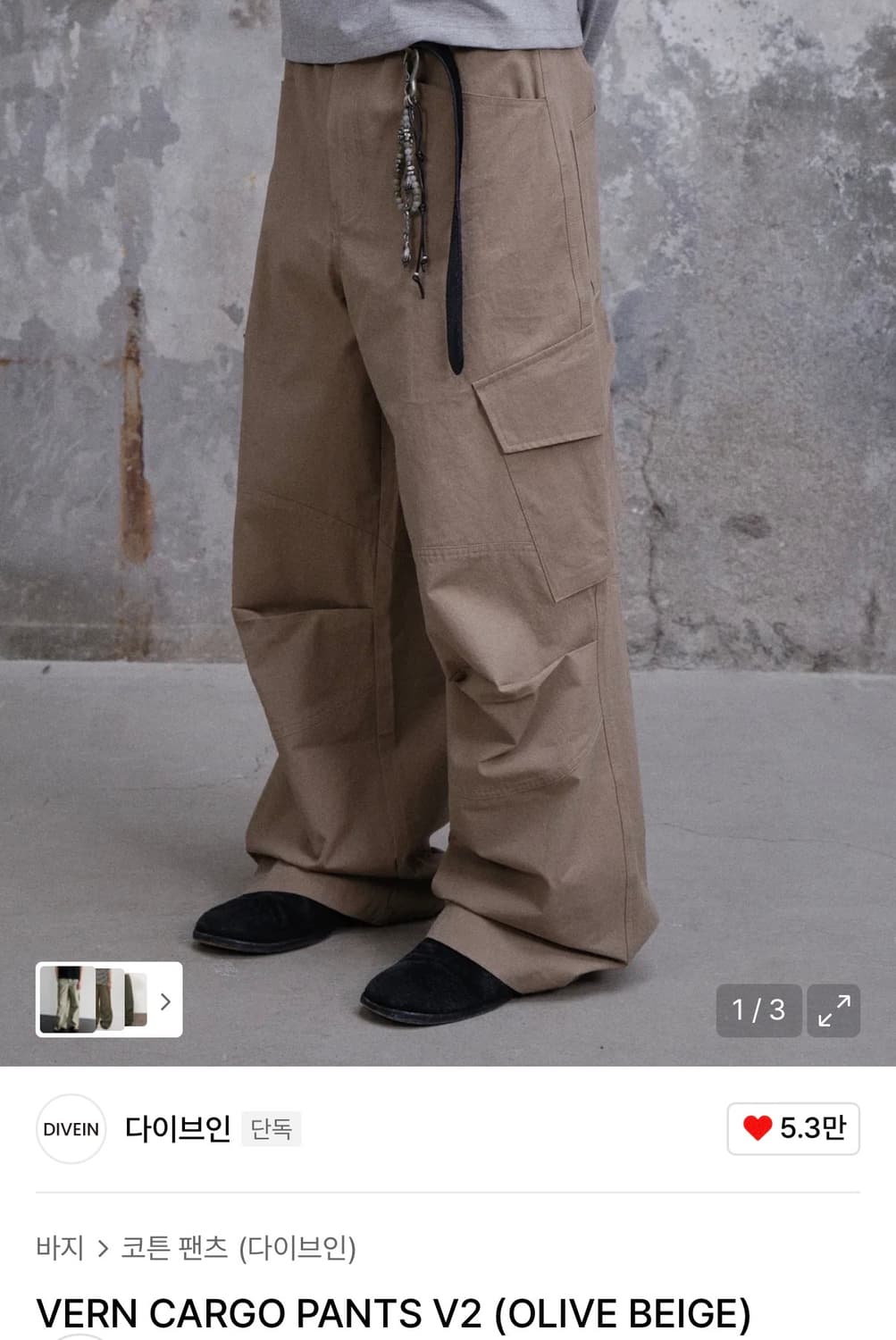 다이브인 베른 카고팬츠 상품이미지1