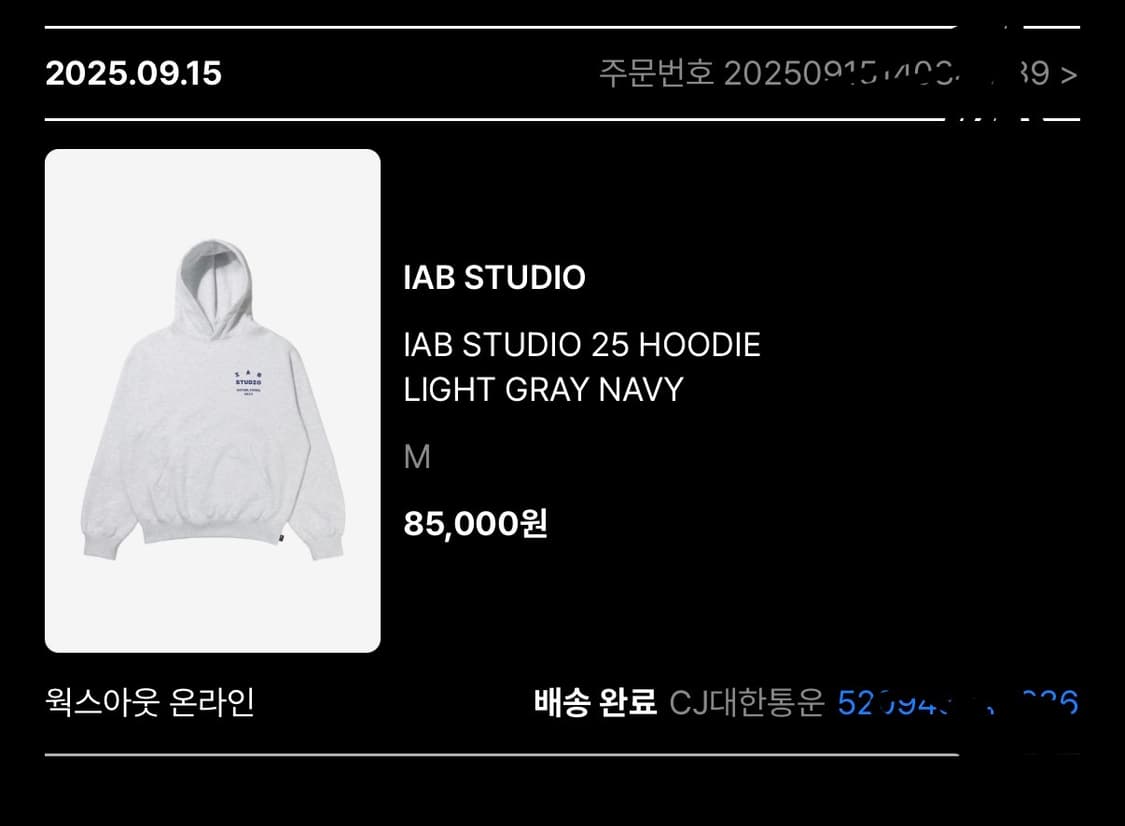 [M] IAB Studio 25 Hoodie Light Gray 새상품 상품이미지2
