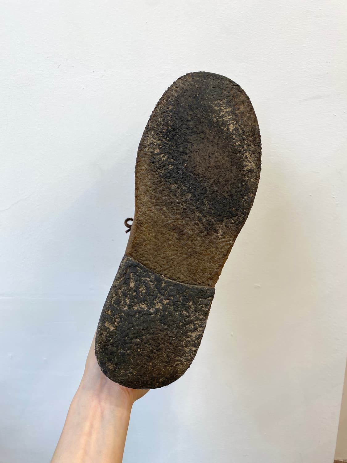 아스토플렉스 그린플렉스  상품이미지9