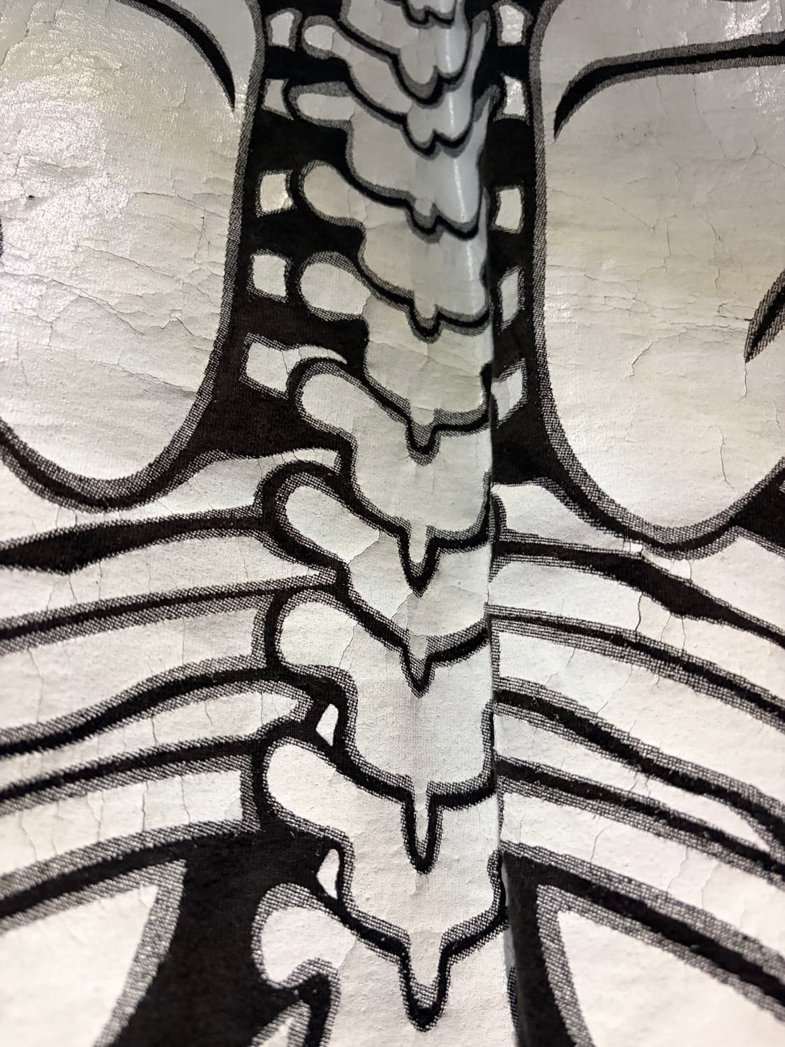 [2] 블라인드파일즈 뼈티 본티 상품이미지3