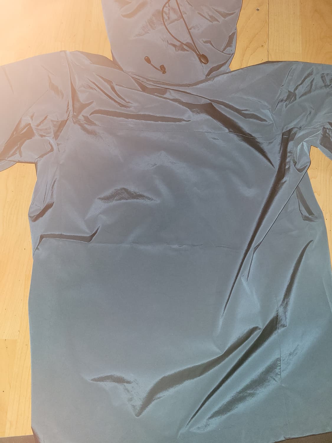 아크테릭스 알파 AV 고어텍스 프로 바람막이 상품이미지4