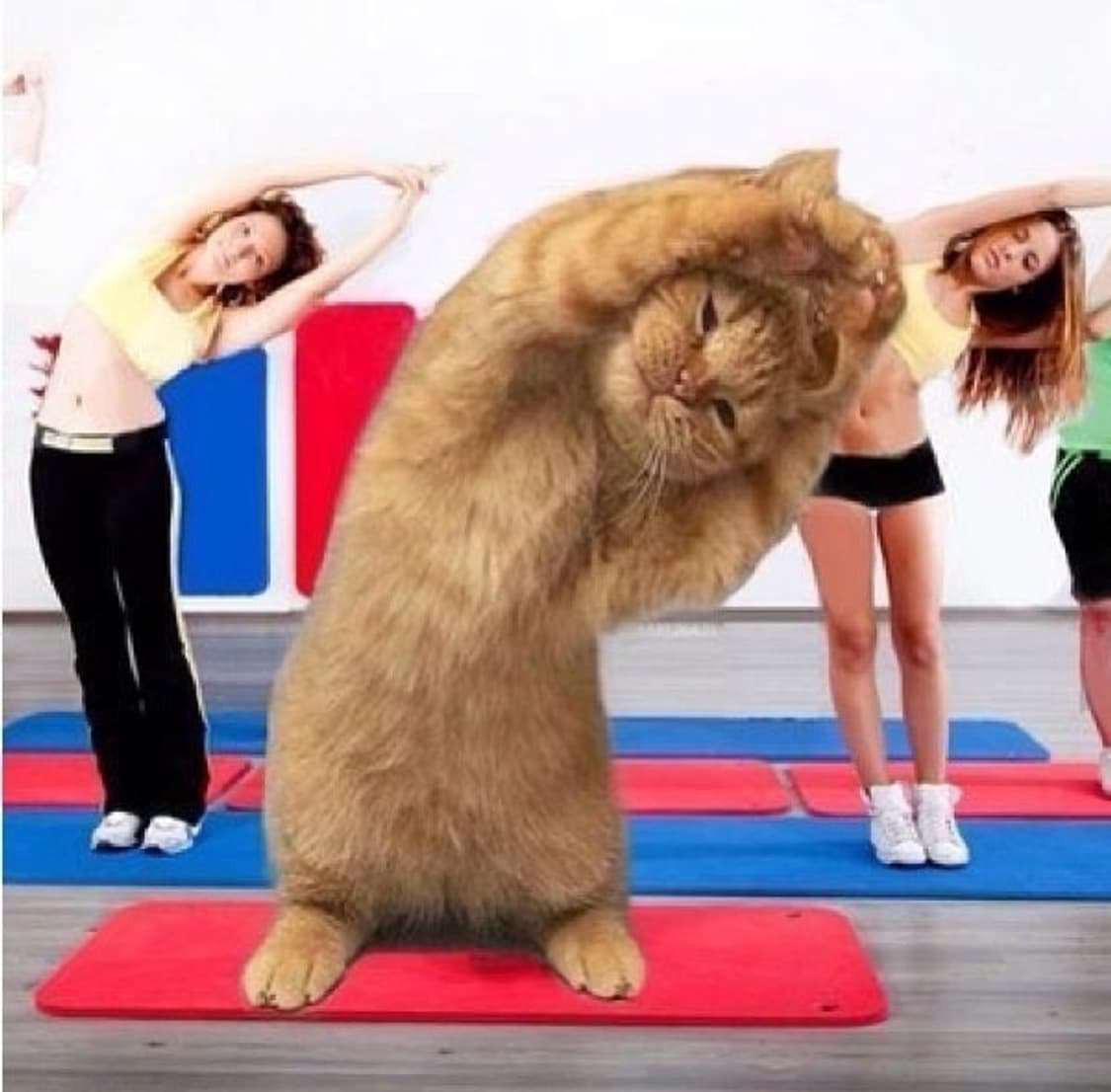 개인결제창 상품이미지1