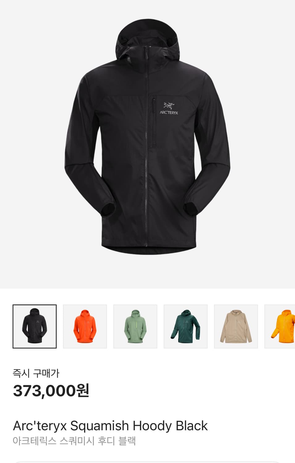 아크테릭스 스퀴미시 블랙 L 상품이미지1