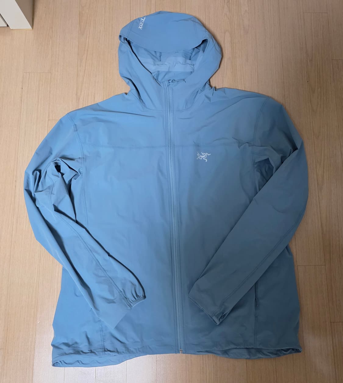 아크테릭스 감마 라이트웨이트 후디 솔라스 xl 상품이미지1