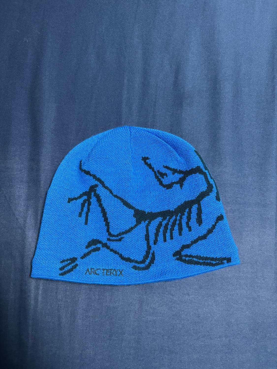 아크테릭스 버드 헤드 토크 플루이디티 상품이미지1