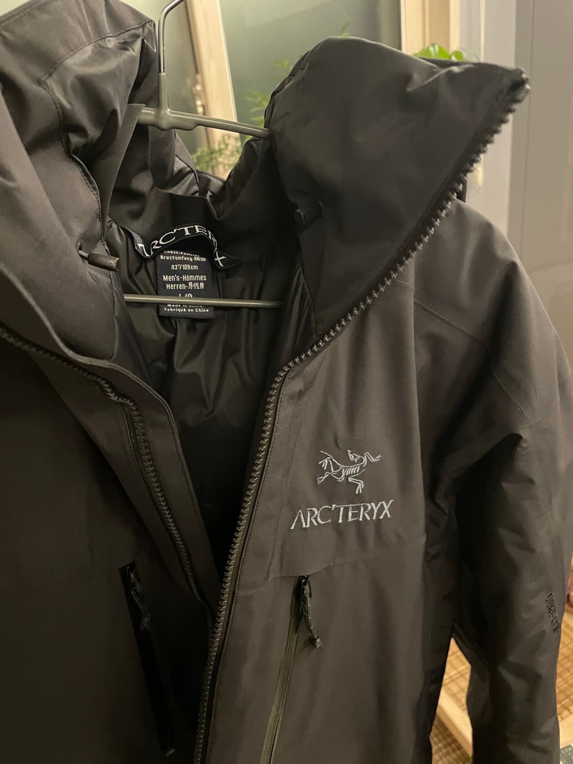 아크테릭스 피션 SV black L 상품이미지3