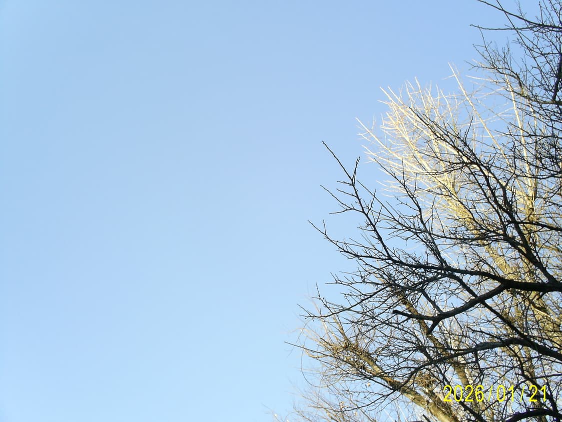 삼성케녹스 D402디카 상품이미지9