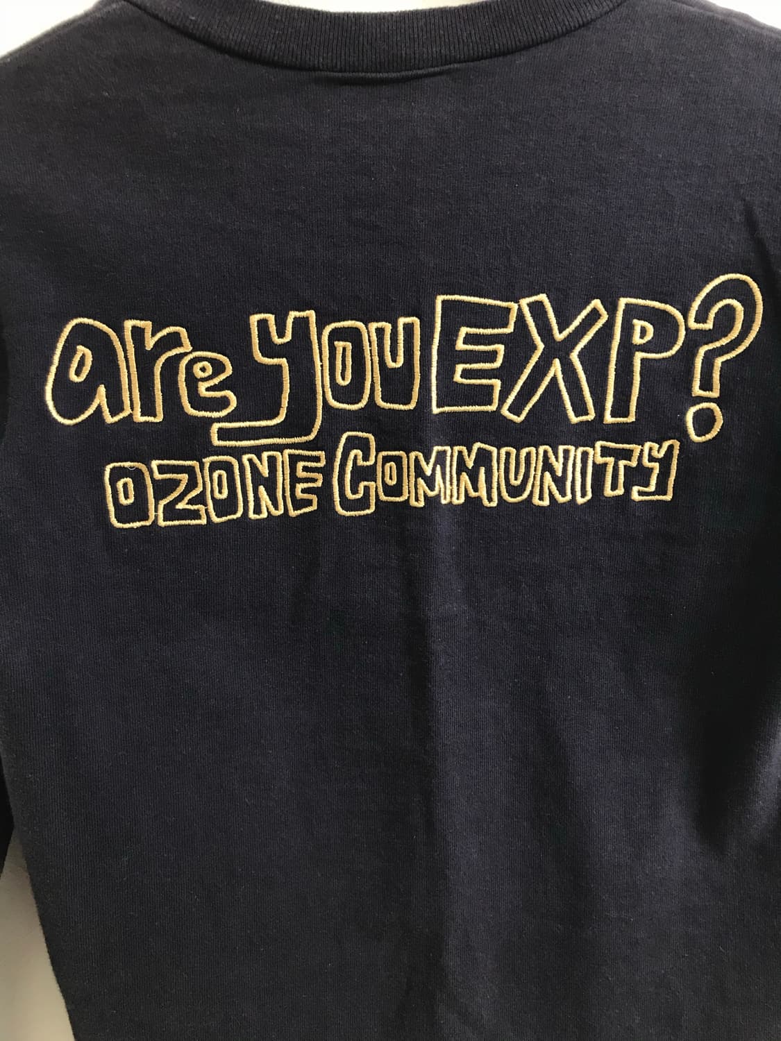 오존 커뮤니티 락스타 자수 딱붙 롱슬리브 상품이미지6