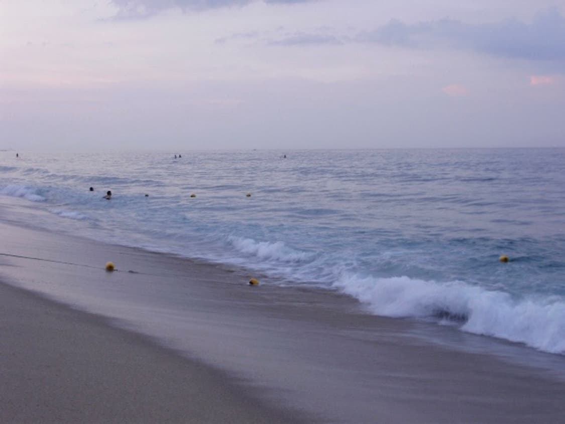 올림푸스 x840 (작례o) 상품이미지5