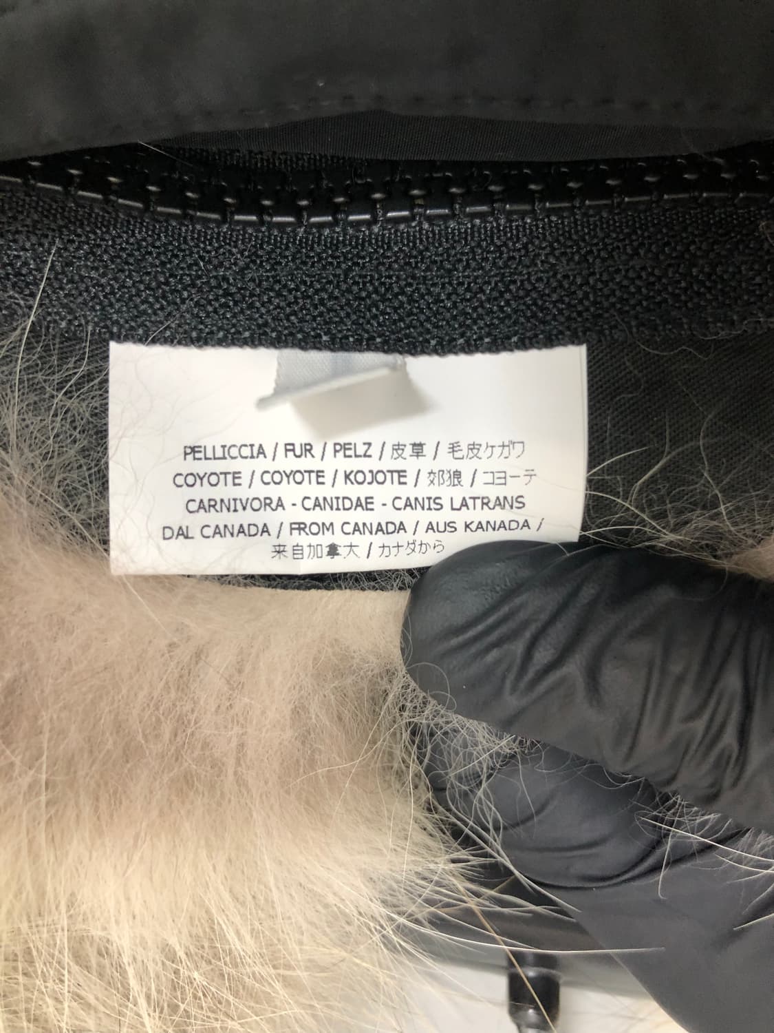 스톤아일랜드 코요테 퍼 덕다운 마이크로 랩스 롱패딩 블랙 상품이미지9