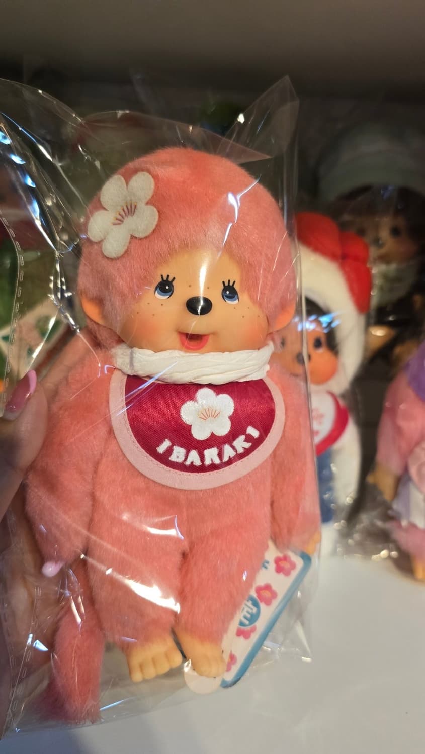 몬치치 이바라키 한정 꽃 인형 상품이미지1