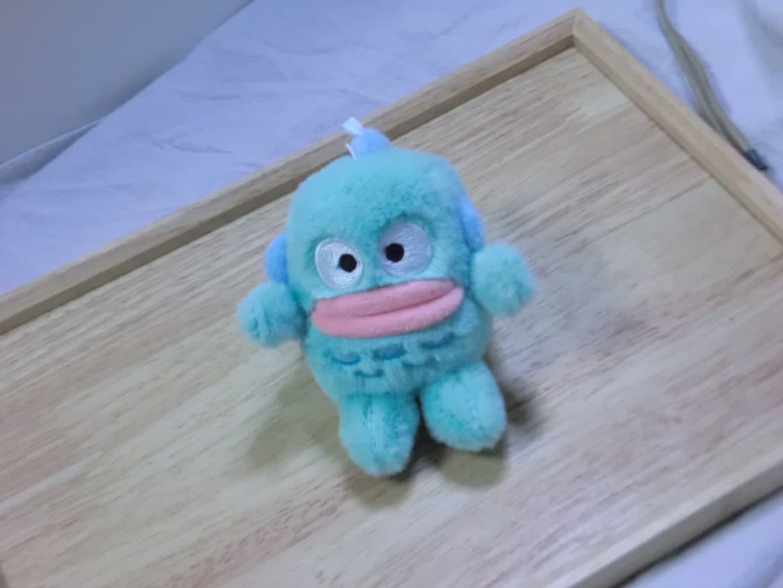 카시오 z2300 아일릿 모카 디카 casio ex-z2300 상품이미지10