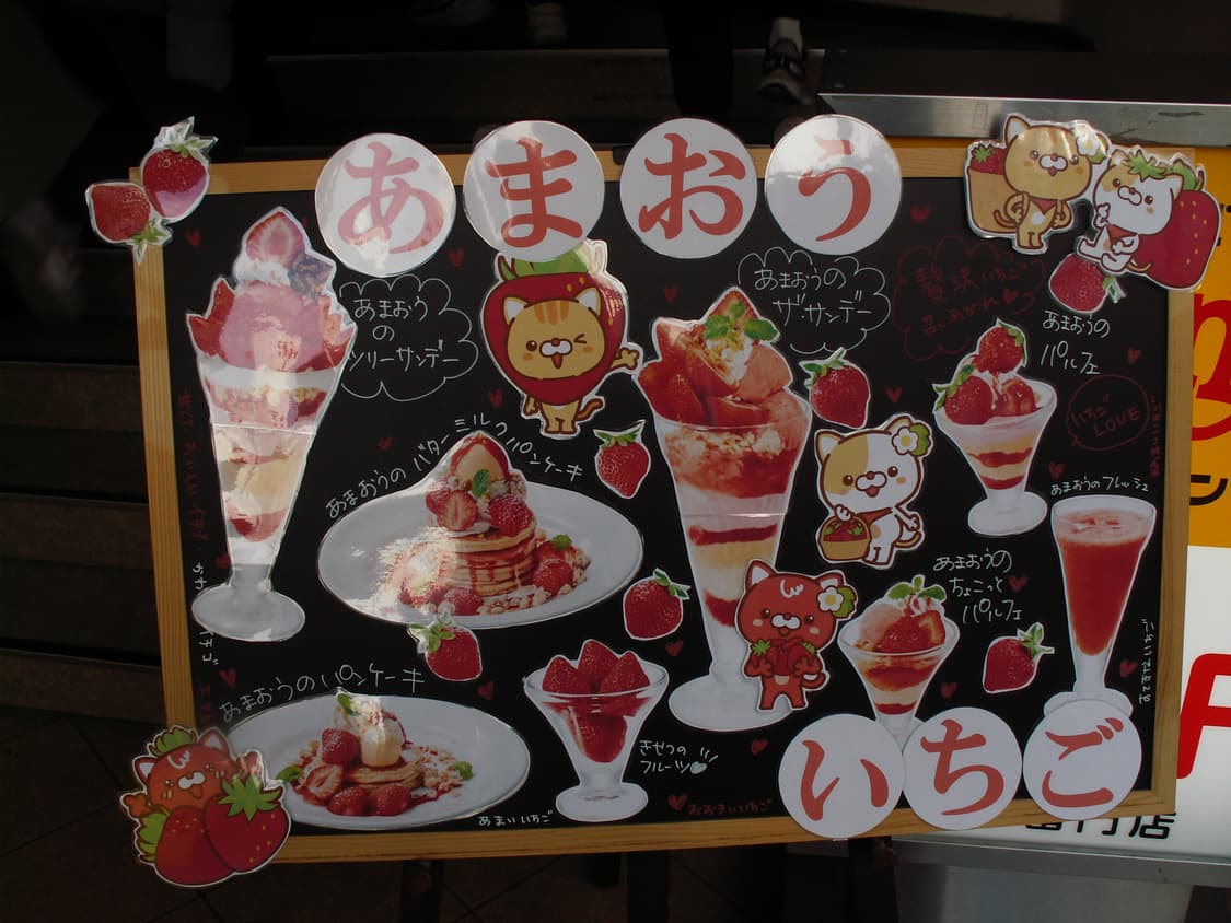 Konica Minolta Dimage Z5 코니카미놀타 상품이미지8