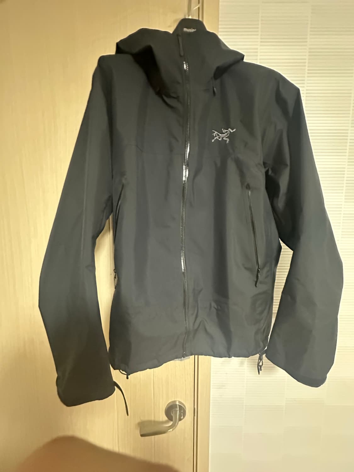 아크테릭스 베타 sl L사이즈 상품이미지1