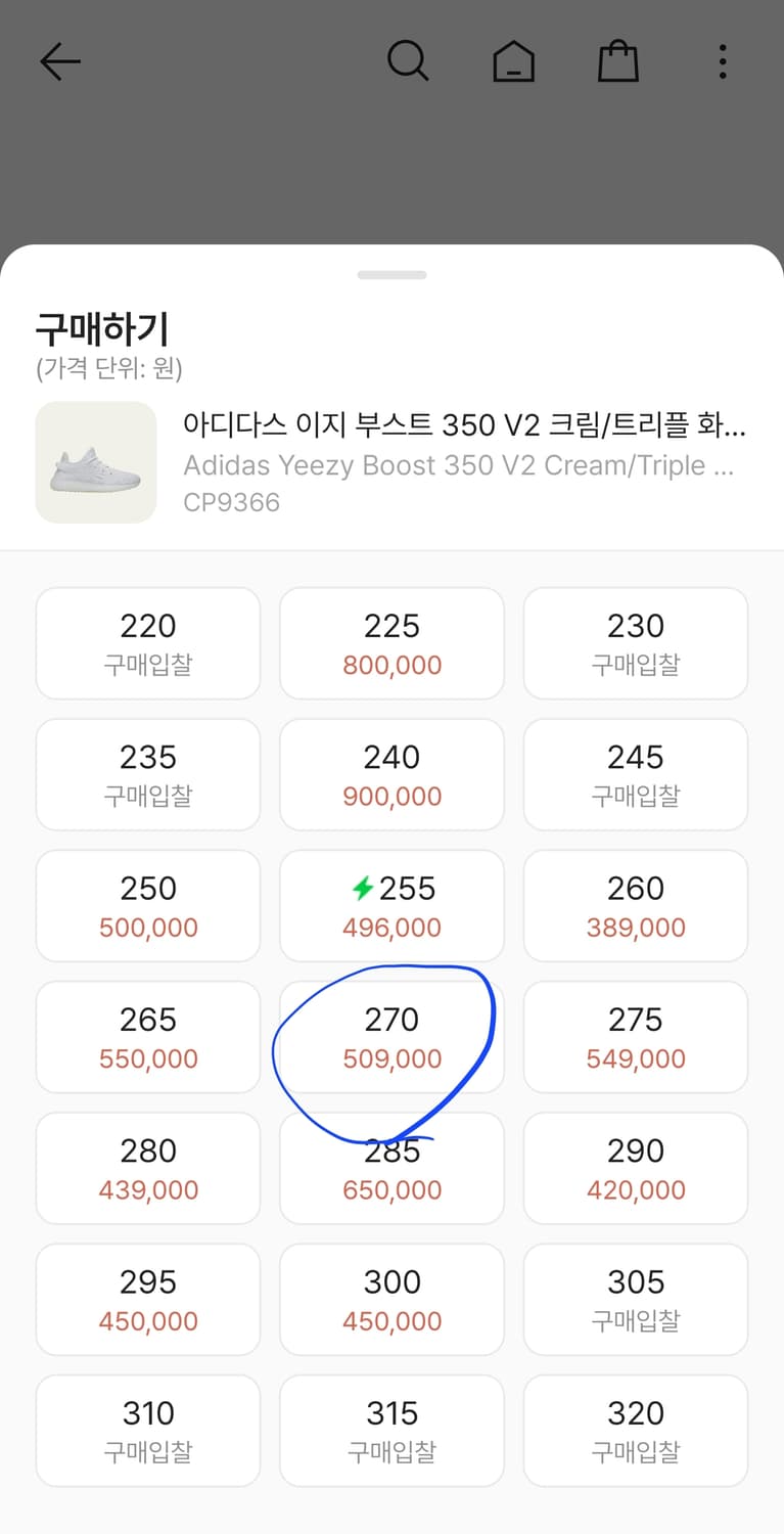 아디다스 이지부스트 350 상품이미지6