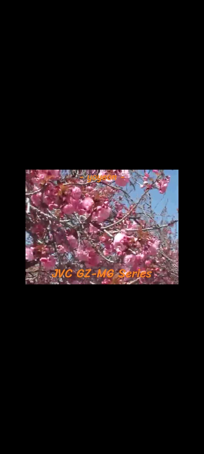 JVC Victor GZ-MG505 캠코더 상품이미지3