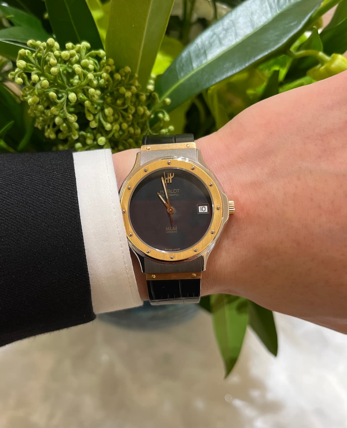 희귀) 위블로 MDM 콤비 36mm 오토매틱 (상태 굿👍🏻) 상품이미지6