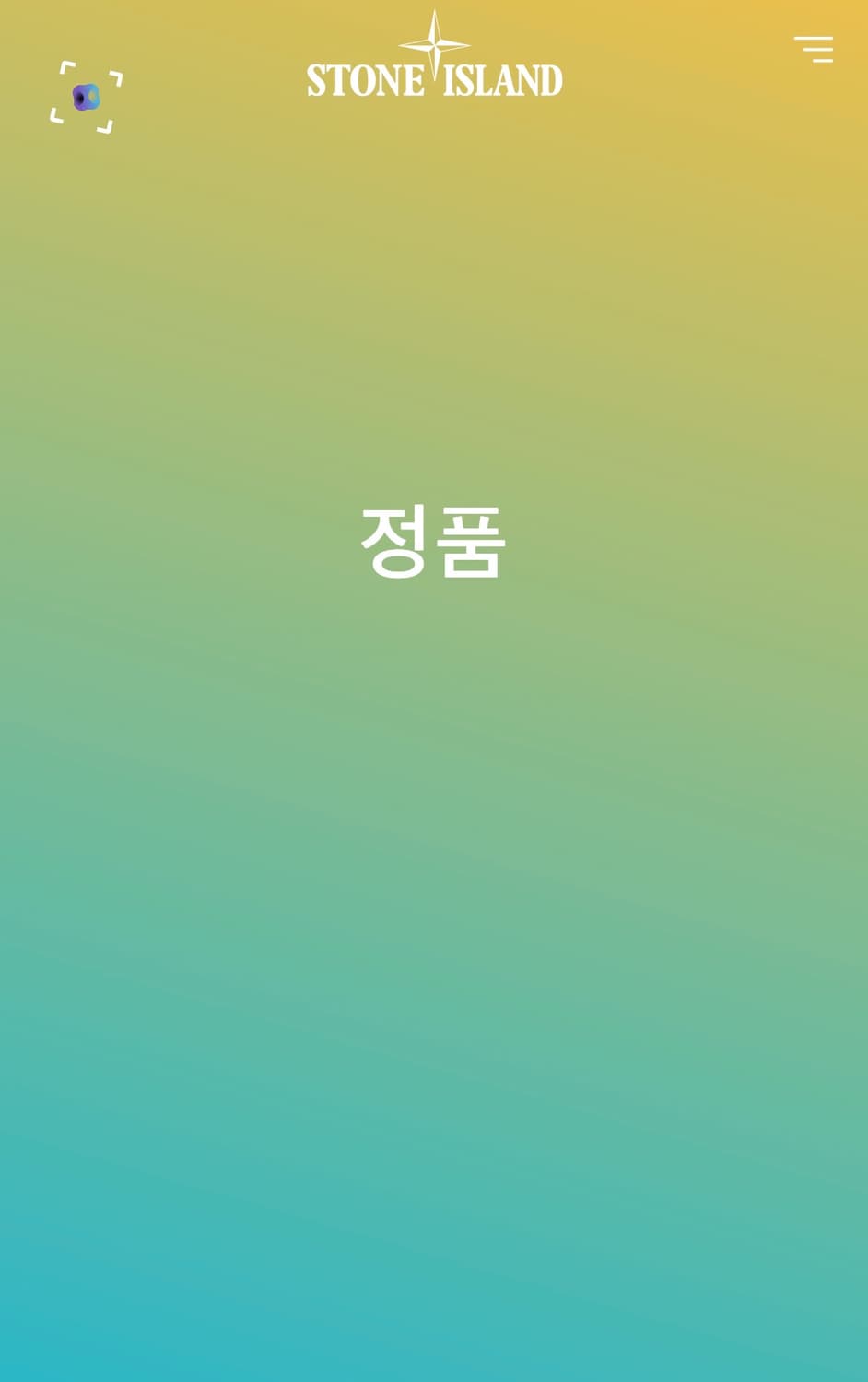 스톤아일랜드 캠프캡 상품이미지9