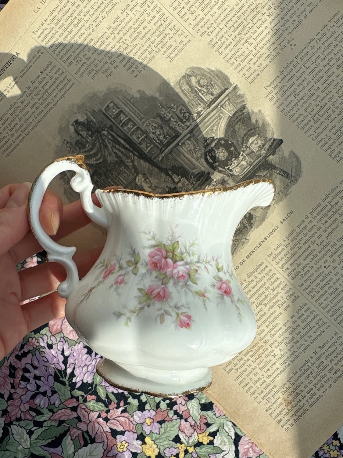 파라곤 빅토리아나로즈 라지슈크세트(이슈) 상품이미지3