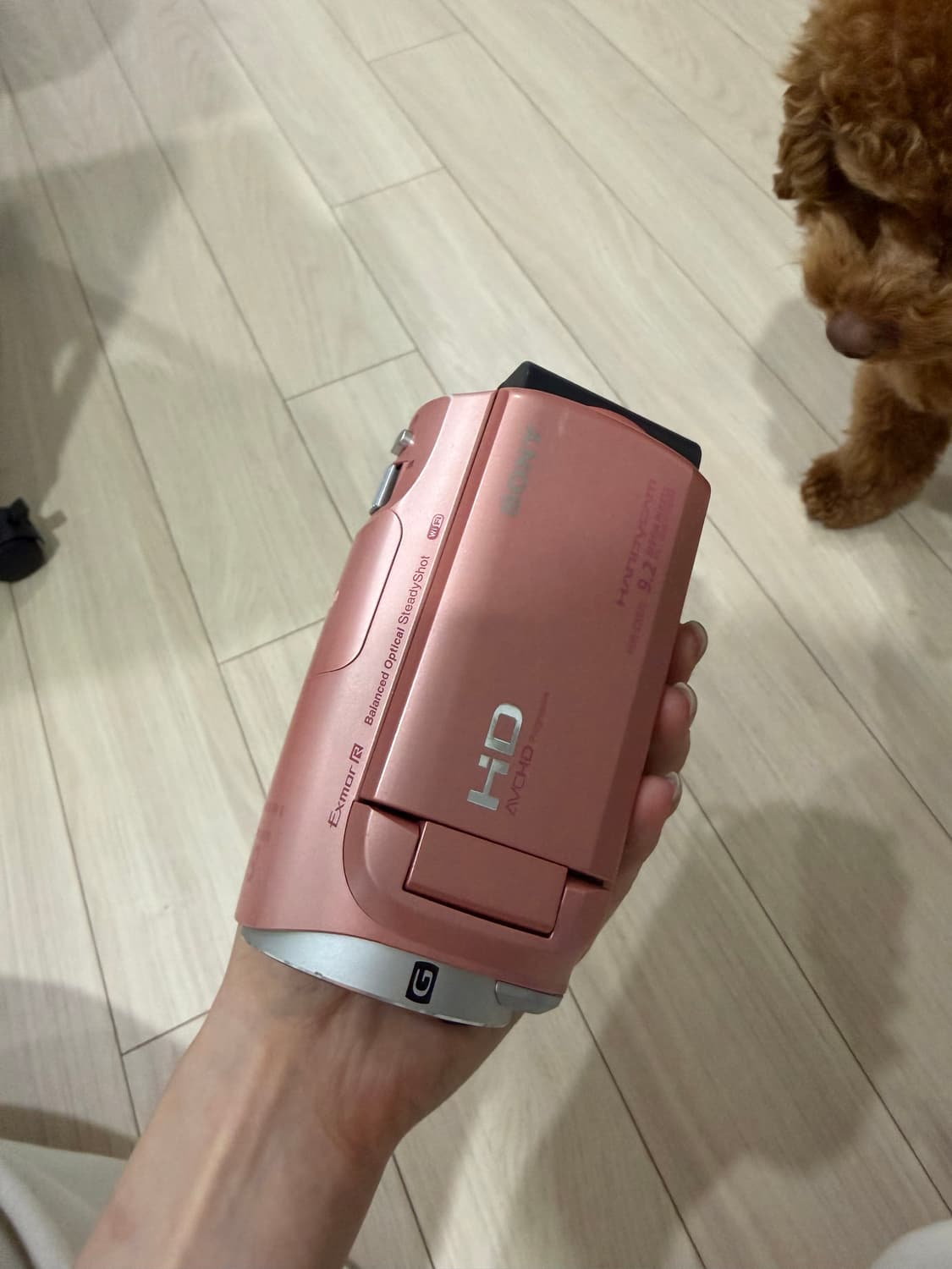 SONY 소니 CX670V 32GB 레트로 감성 빈티지 비디오 카메라 상품이미지3