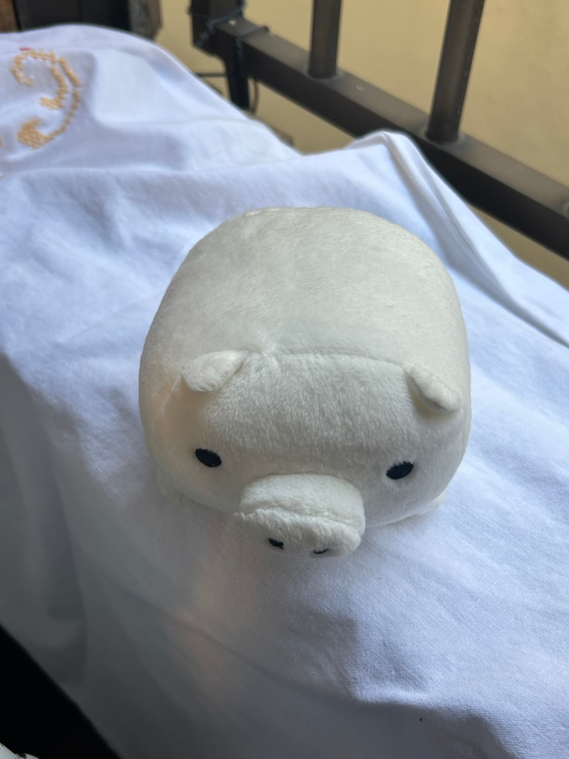 돼지인형  상품이미지2