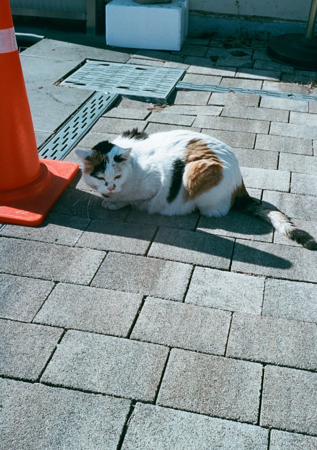 올림푸스 PEN EED 하프카메라 상품이미지10