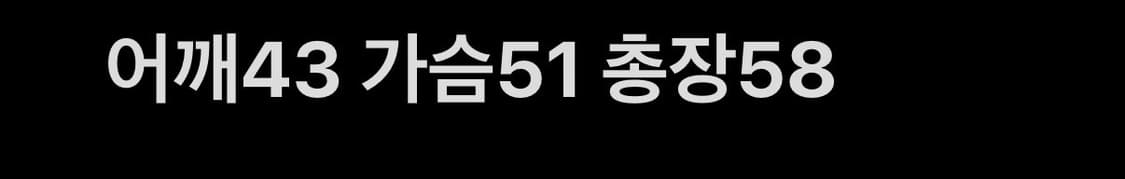 뉴발란스 바시티 자켓 상품이미지7