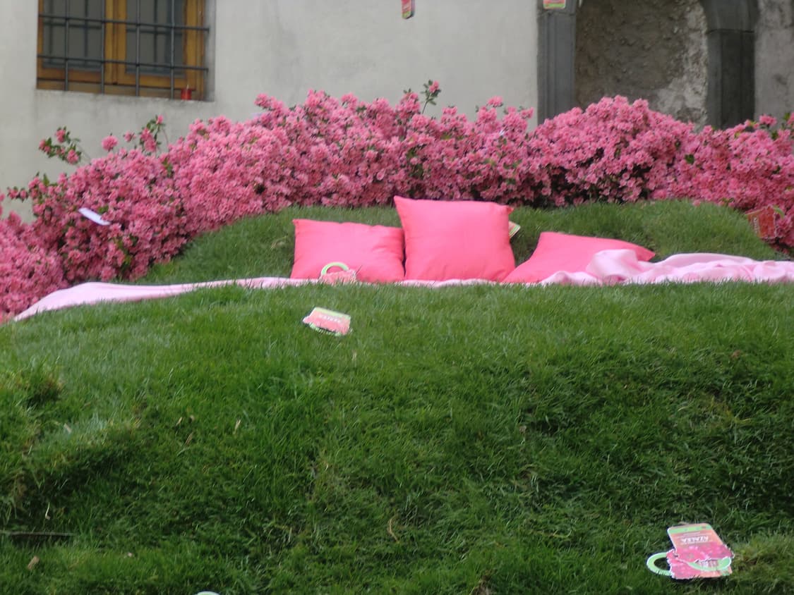 (뷰티모드💗) 카시오 엑슬림 EX-Z330 디카 디지털카메라 상품이미지7