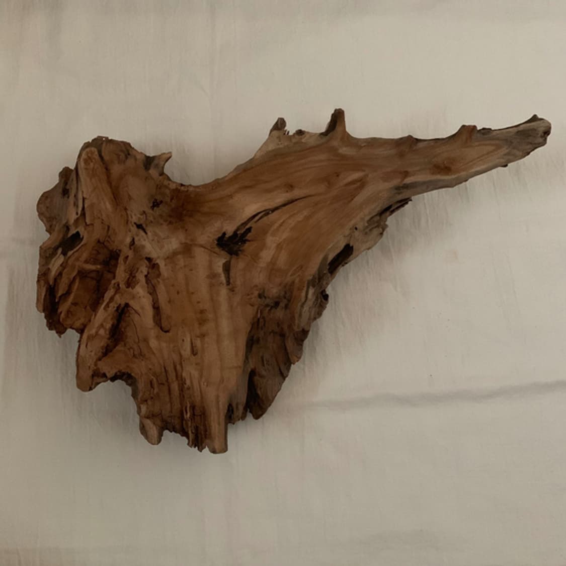 wood tray 005 상품이미지2