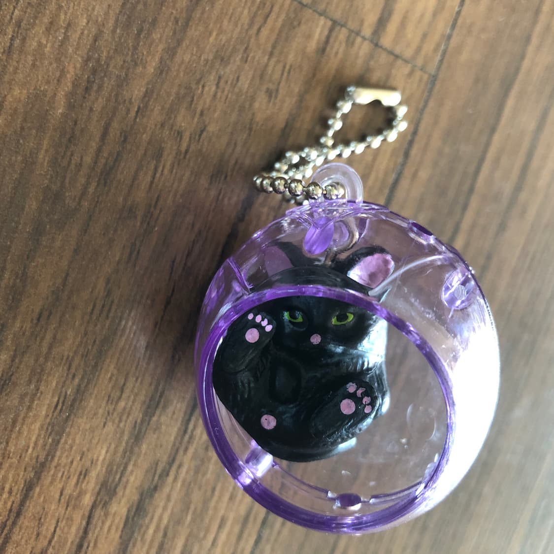 배송비 포함가격) 고양이 그네 가챠 네코 블랙캣 냥이 반려묘 키덜트 뽑기 상품이미지1