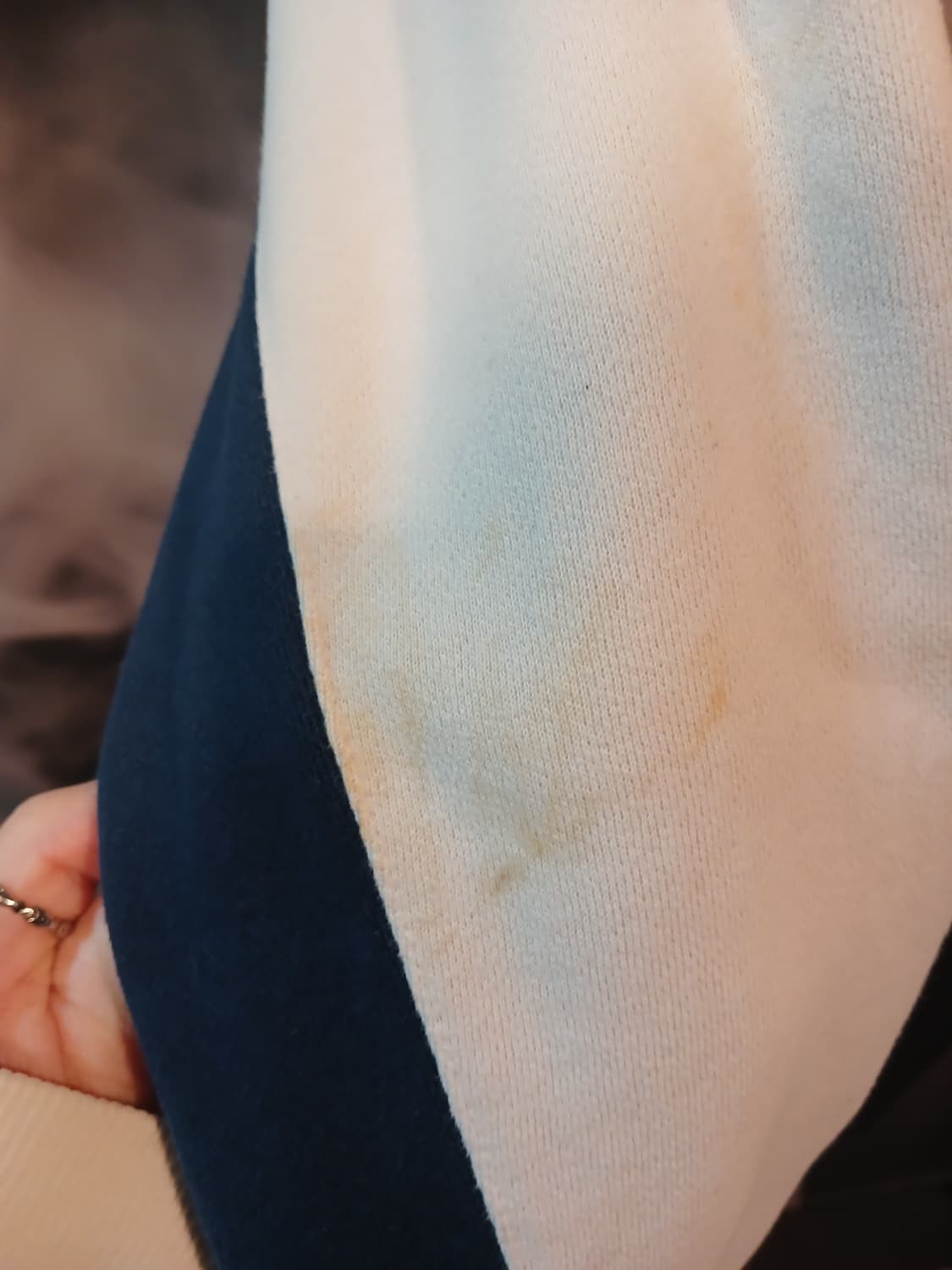 타미힐피거 기모 후드집업 상품이미지4