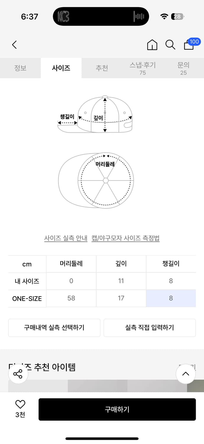 디키즈모자 상품이미지2
