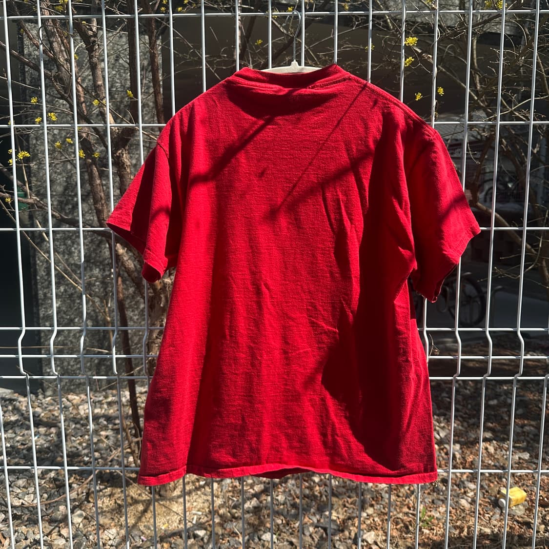 97 looney tunes tweety t shirt 상품이미지3