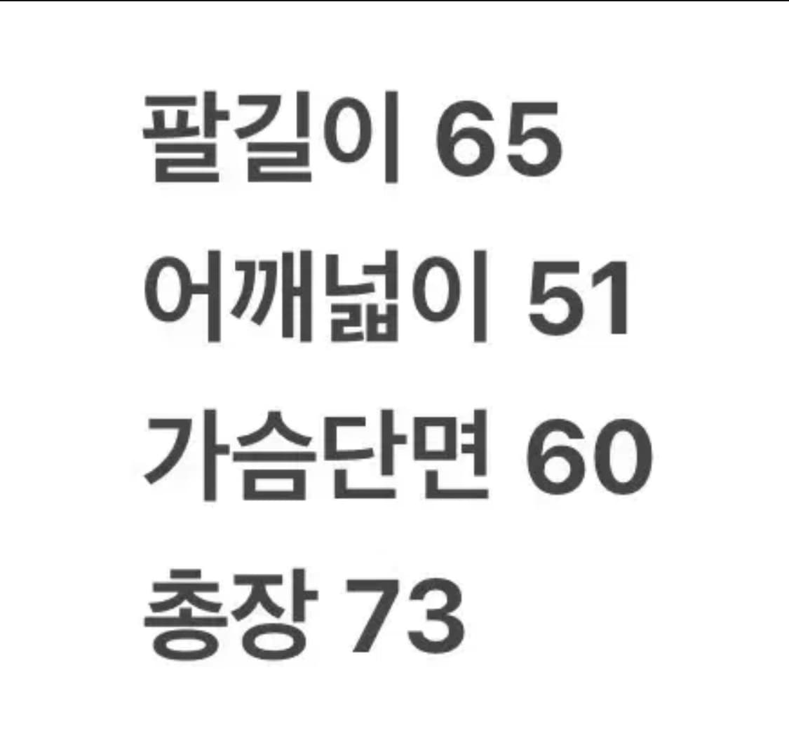 파타고니아 투톤 비비 패딩 자켓 L 상품이미지7