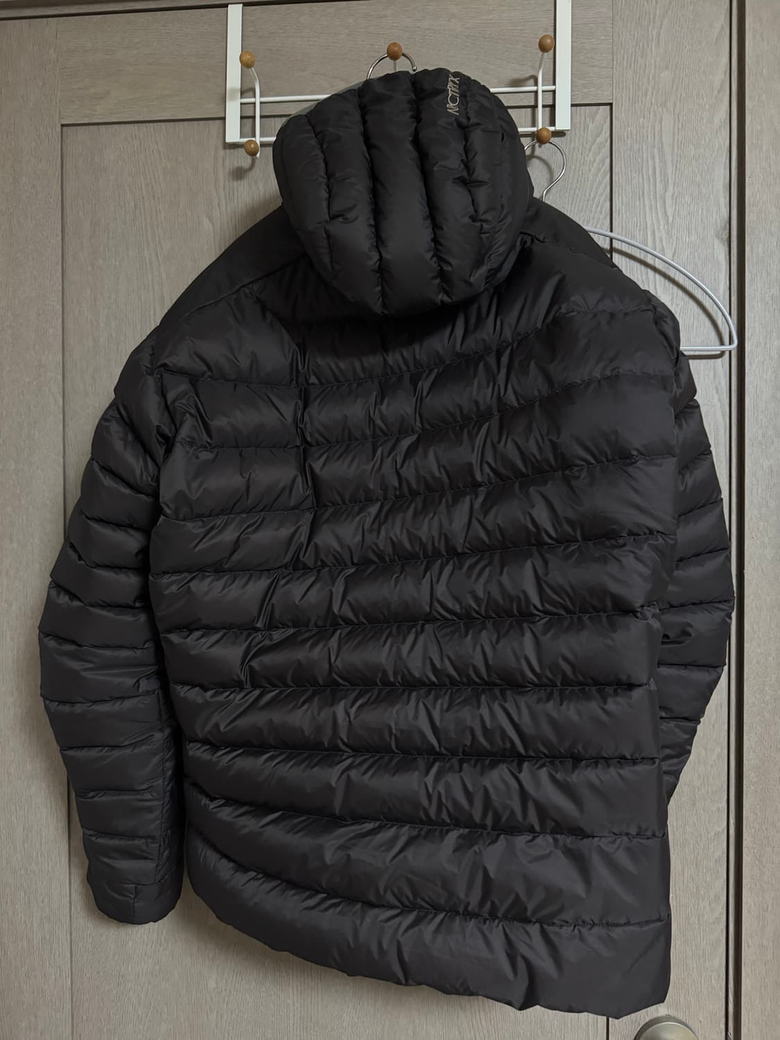 아크테릭스 세륨 비터스 후드 상품이미지2