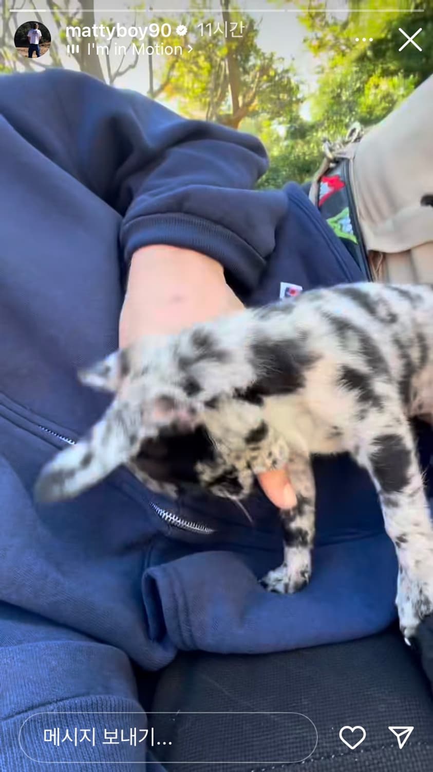 러셀 후드집업 made in USA 네이비 상품이미지4