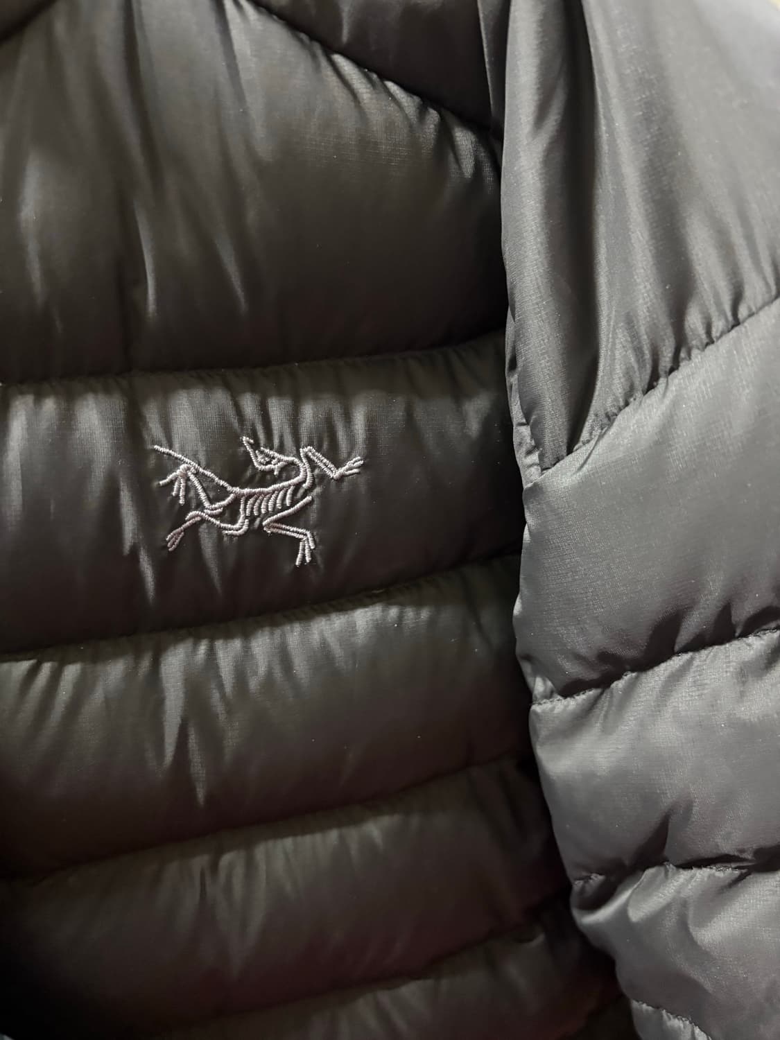 아크테릭스 세륨 후디 블랙 m 상품이미지5